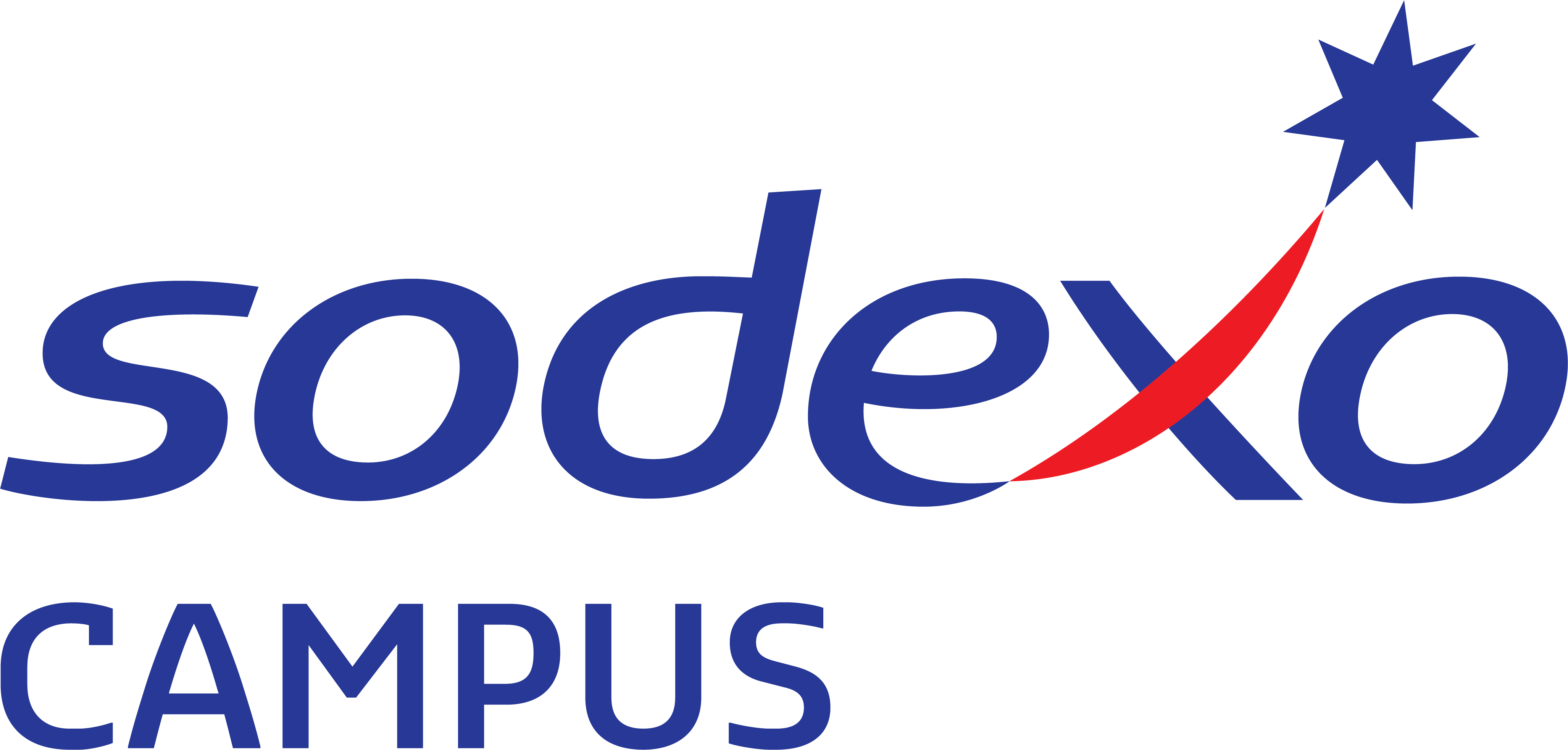 splash logo